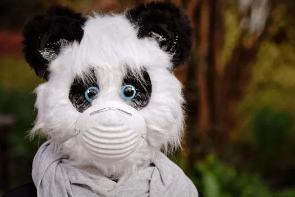 Casino of Dreams Support